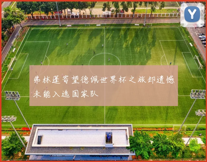 弗林蓬寄望德佩世界杯之旅却遗憾未能入选国家队