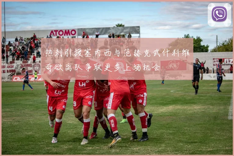热刺引援塞内西与范赫克武什科维奇欲离队争取更多上场机会