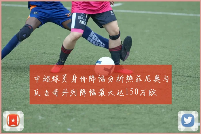 中超球员身价降幅分析热菲尼奥与瓦吉奇并列降幅最大达150万欧